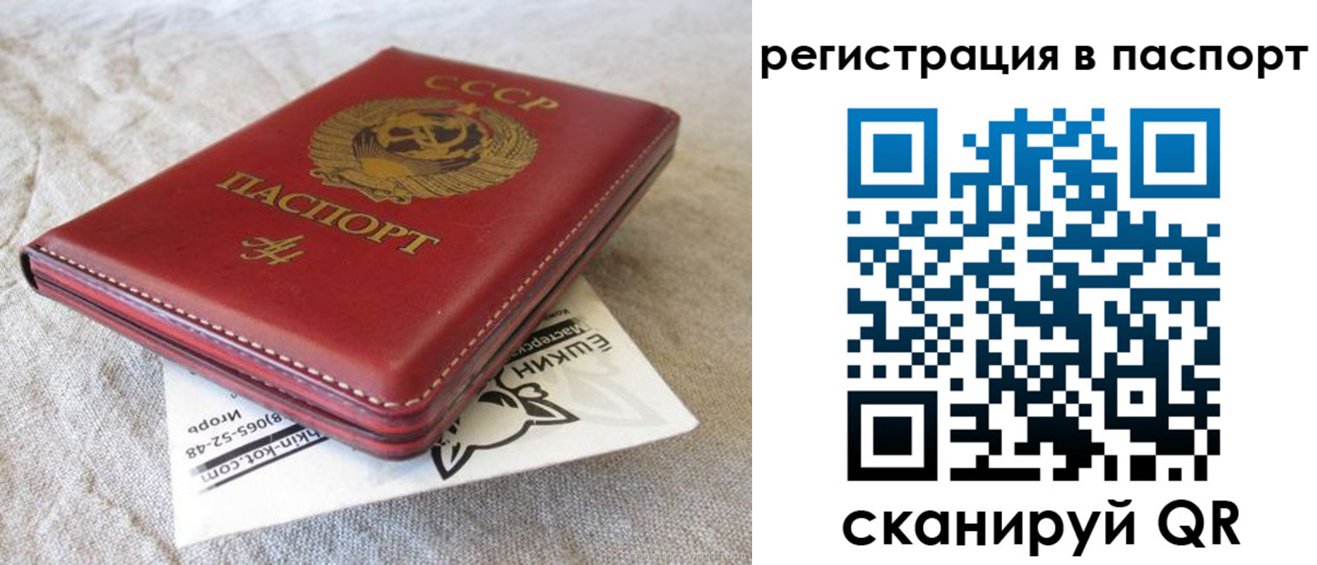 где прописаться в Рошале